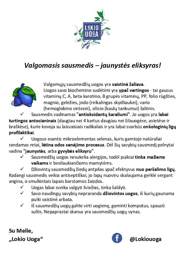 Valgomojo sausmedžio NAUDA